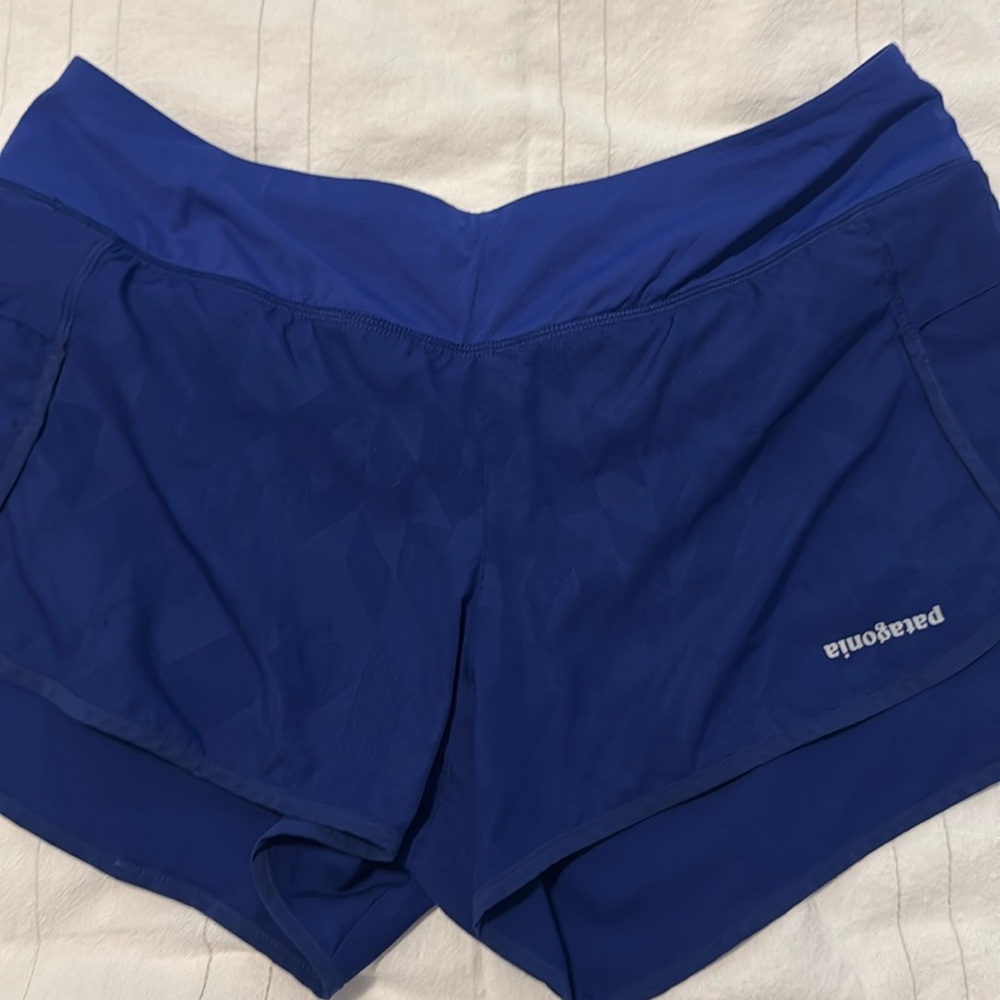 Large Patagonia shorts, purple